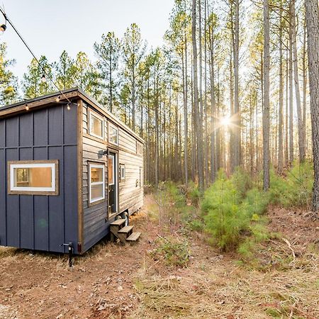 Вілла Pine Creek Tiny House Amherst Екстер'єр фото