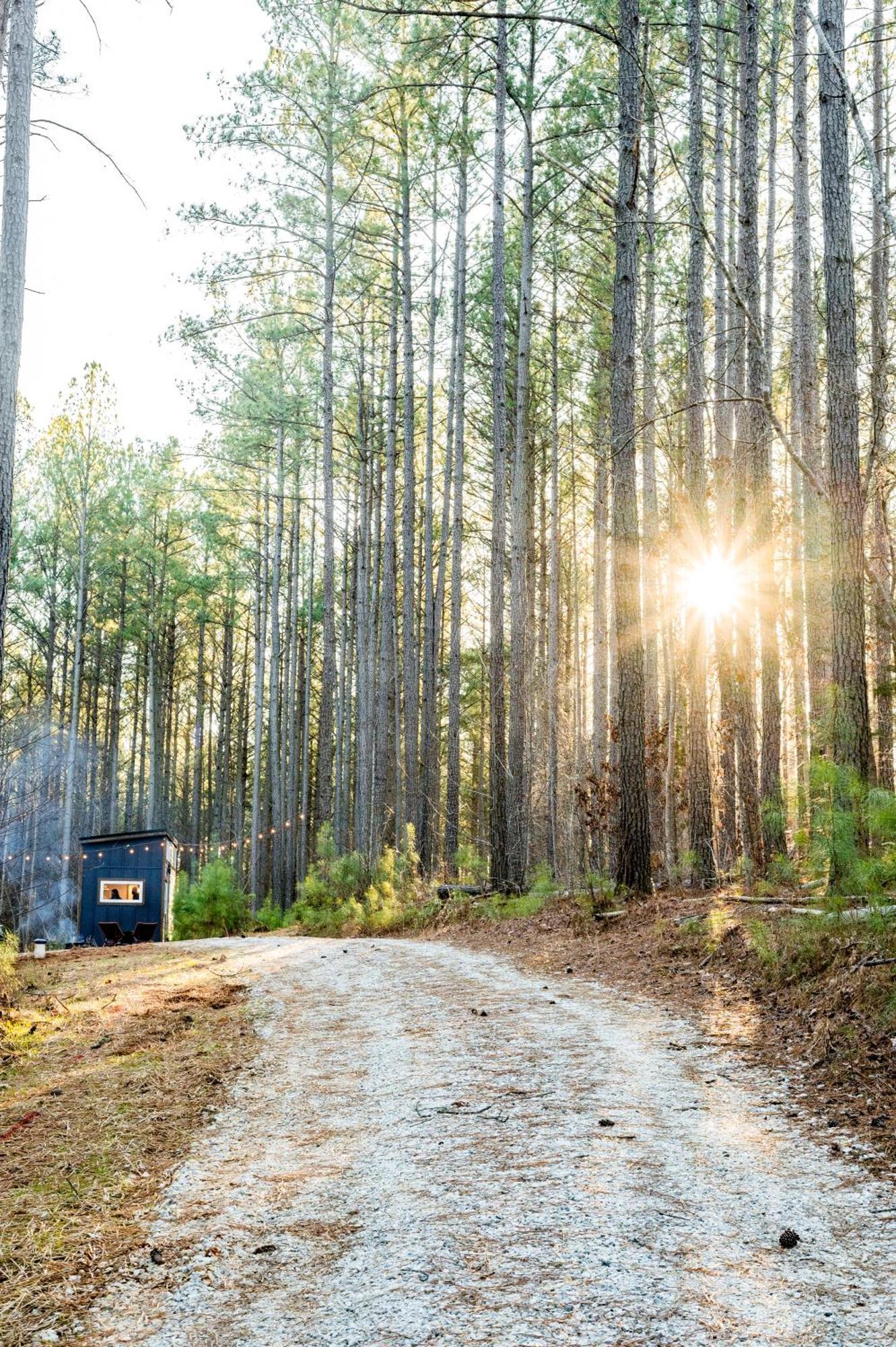 Вілла Pine Creek Tiny House Amherst Екстер'єр фото
