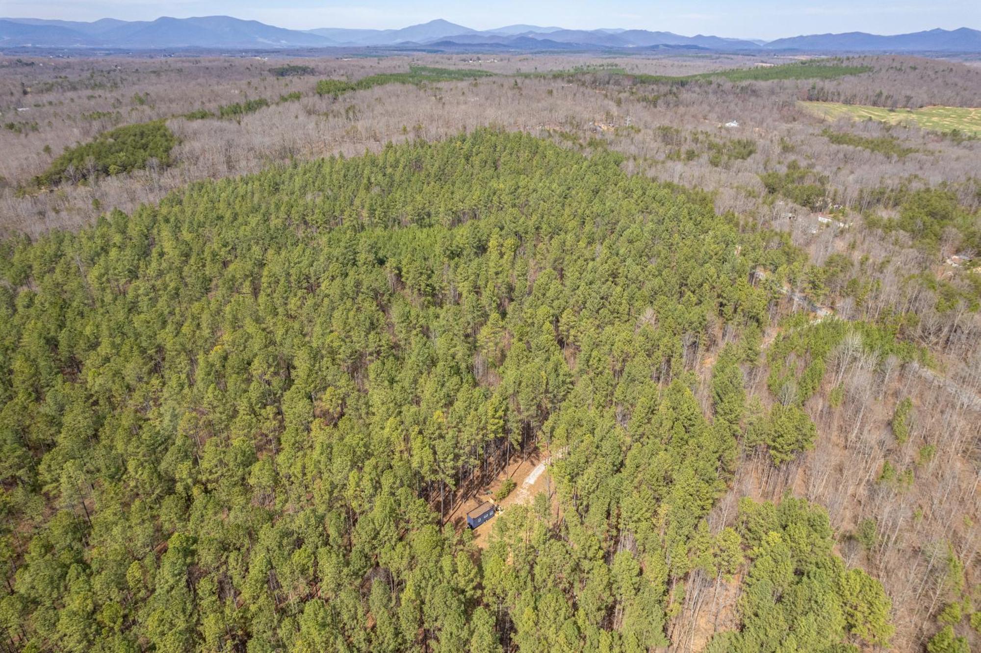 Вілла Pine Creek Tiny House Amherst Екстер'єр фото