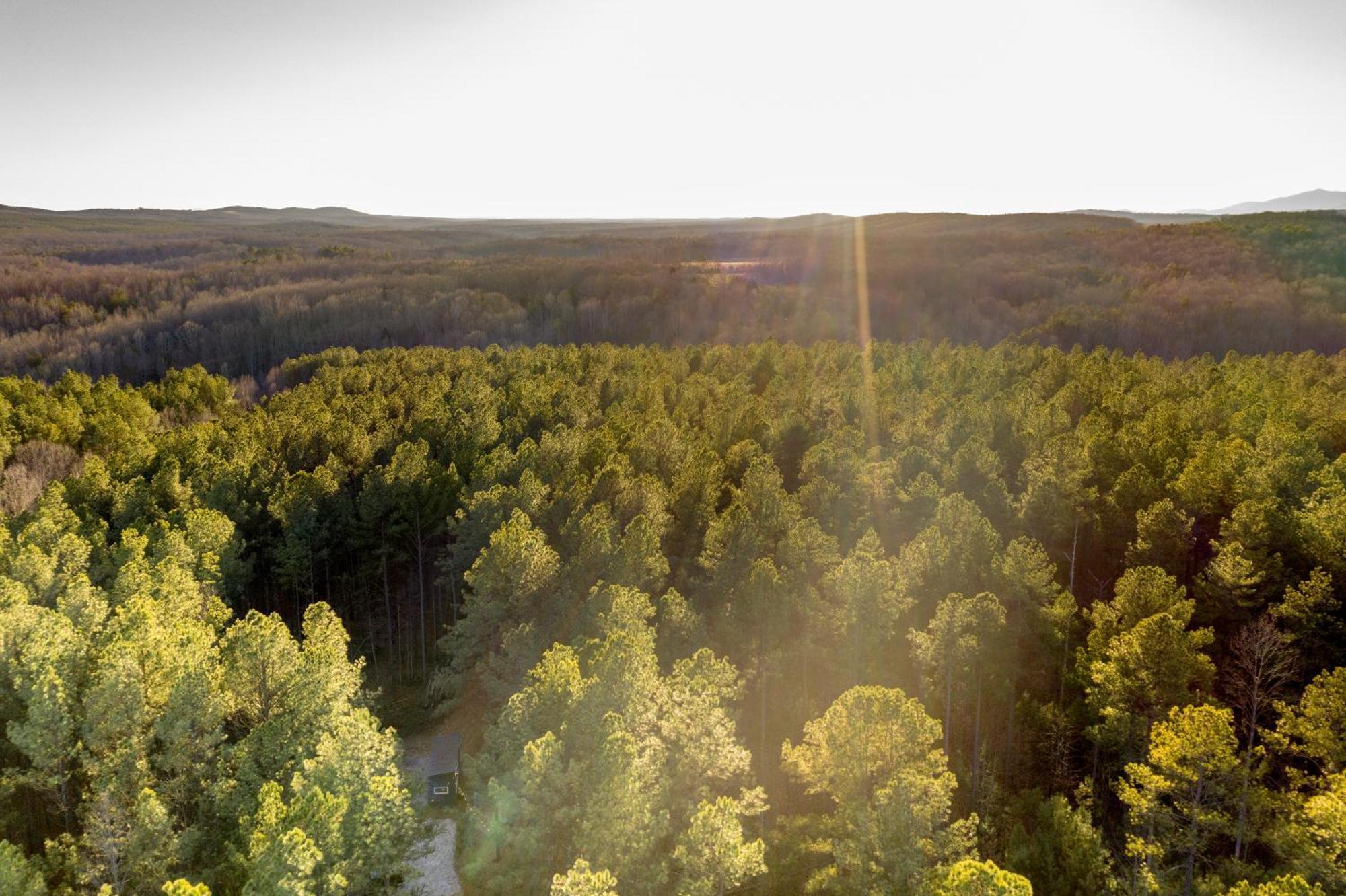 Вілла Pine Creek Tiny House Amherst Екстер'єр фото