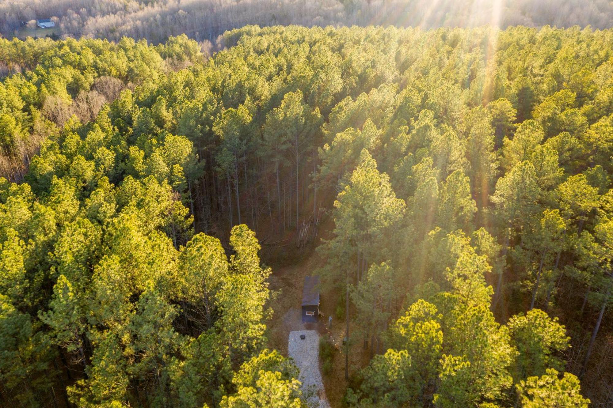 Вілла Pine Creek Tiny House Amherst Екстер'єр фото